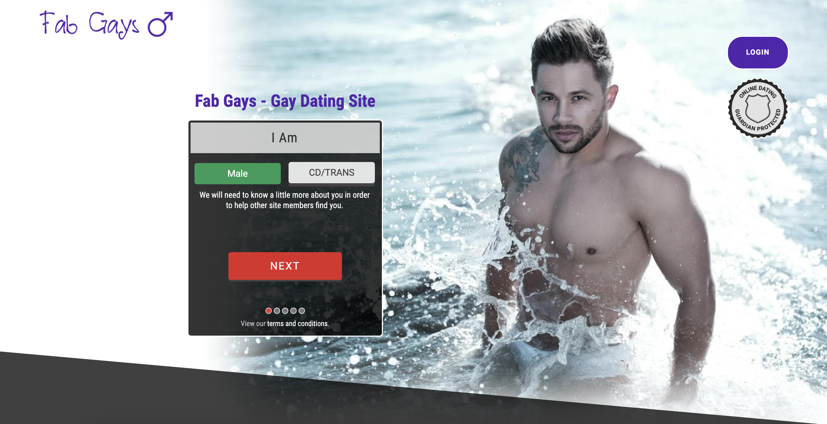 Fab Gays screenshot